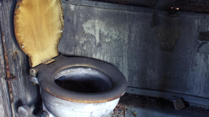 Rust stains in toilet bowls